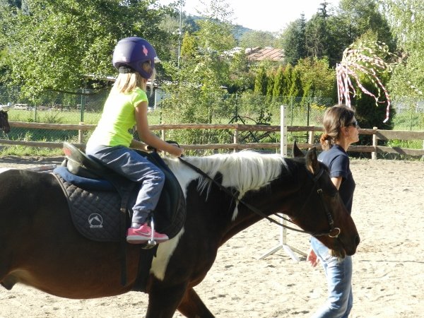 Babie Lato 2015